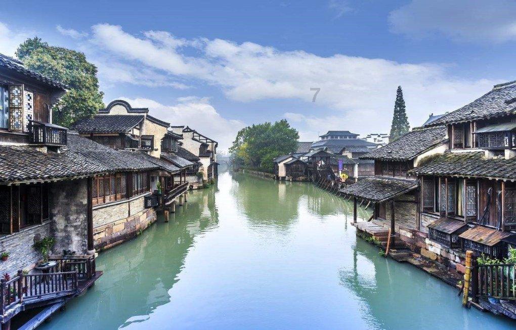 解惑小蜗牛,绿色蔬菜为什么容易变色?问答平台
